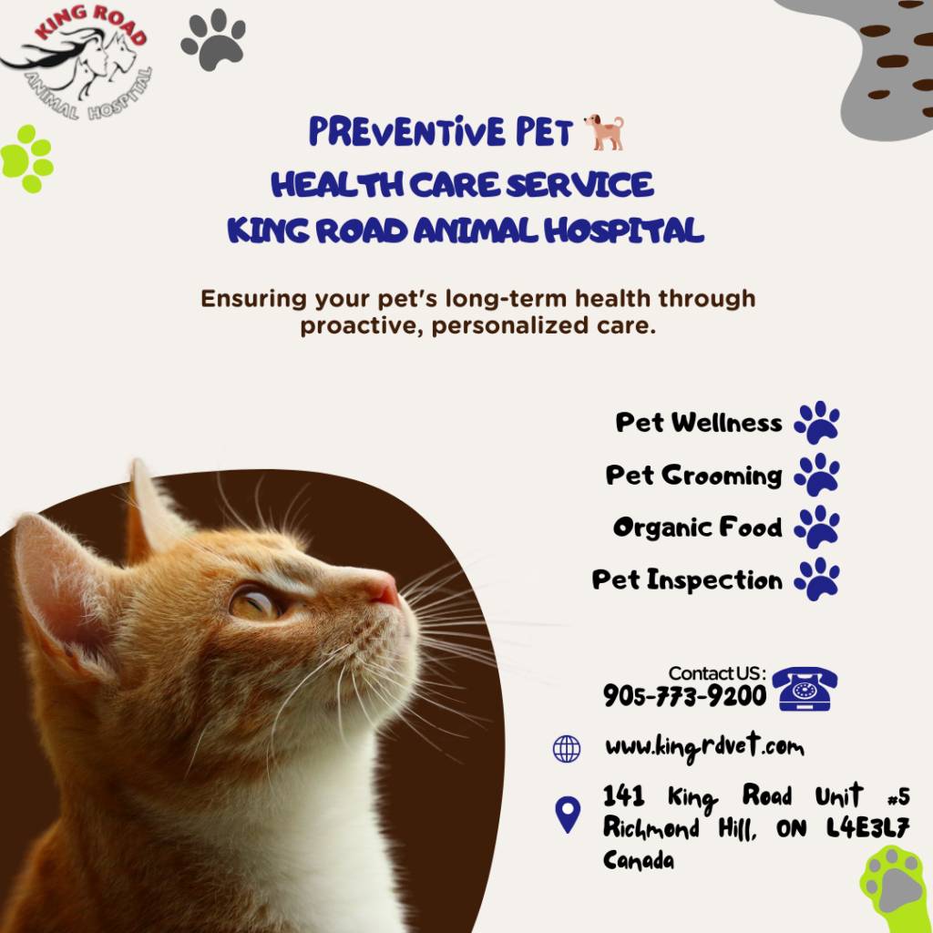 Preventative Pet Health Care Services in Richmond Hill kingrdvet