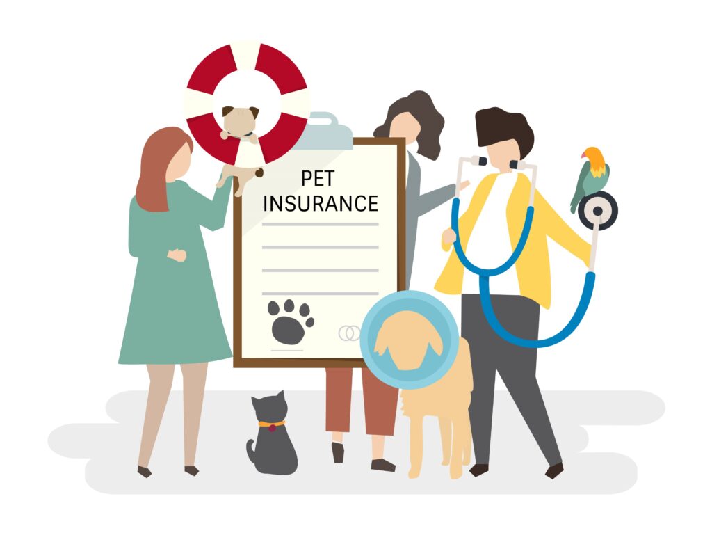 Pet health insurance