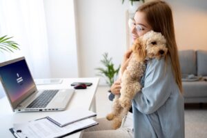 Pet health insurance